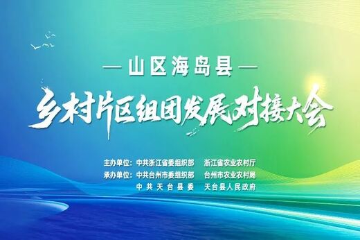中国美术学院率队参加全省推进乡村片区组团发展现场会 为山区海岛片区组团发展装上“美学引擎”